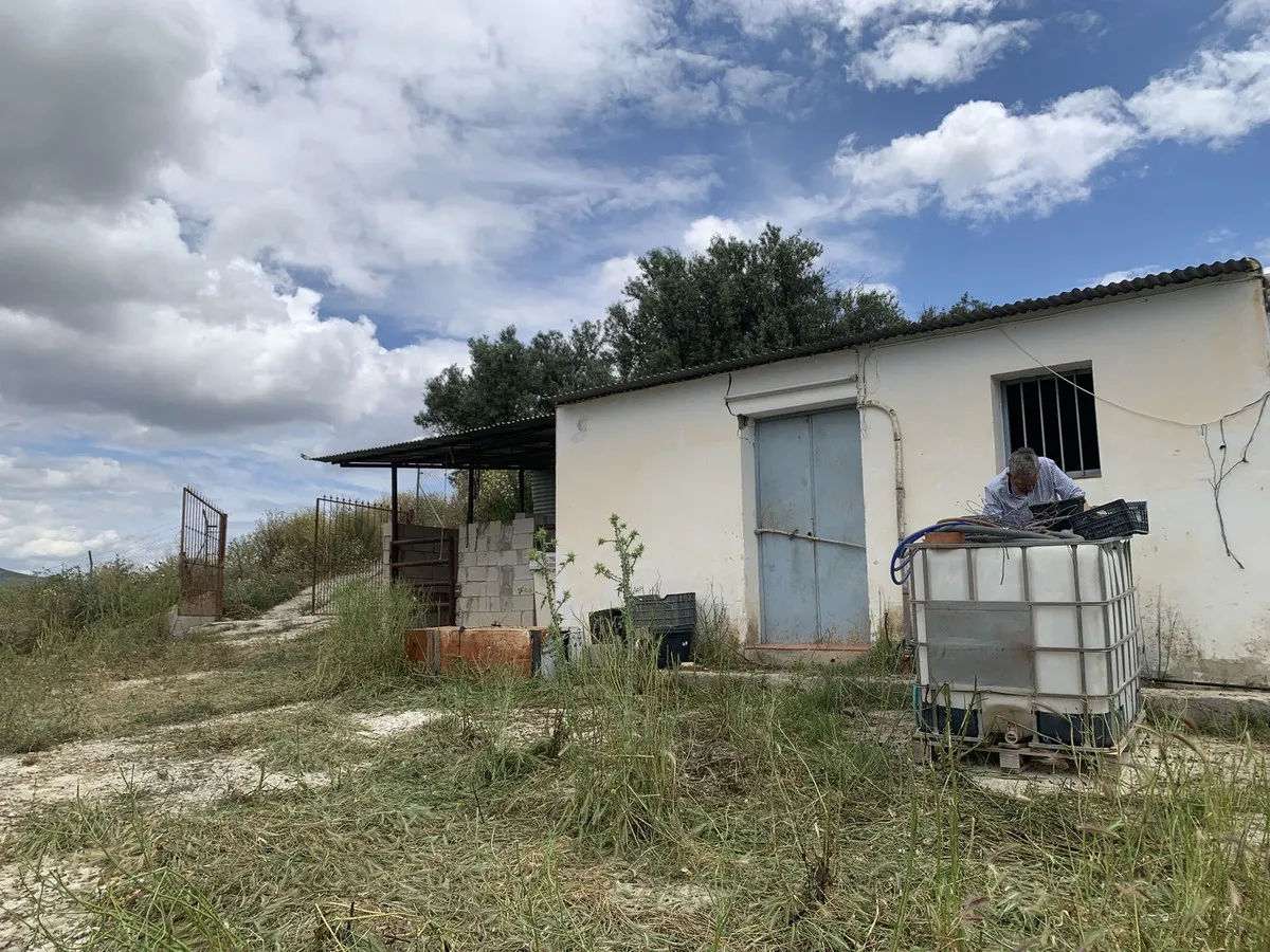 c9f71675-876e-4678-8433-09603c329b1e