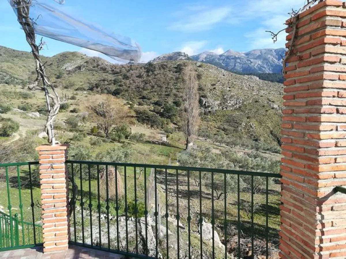 7755beca-a8dc-405b-9057-2b74f2b1c6ec