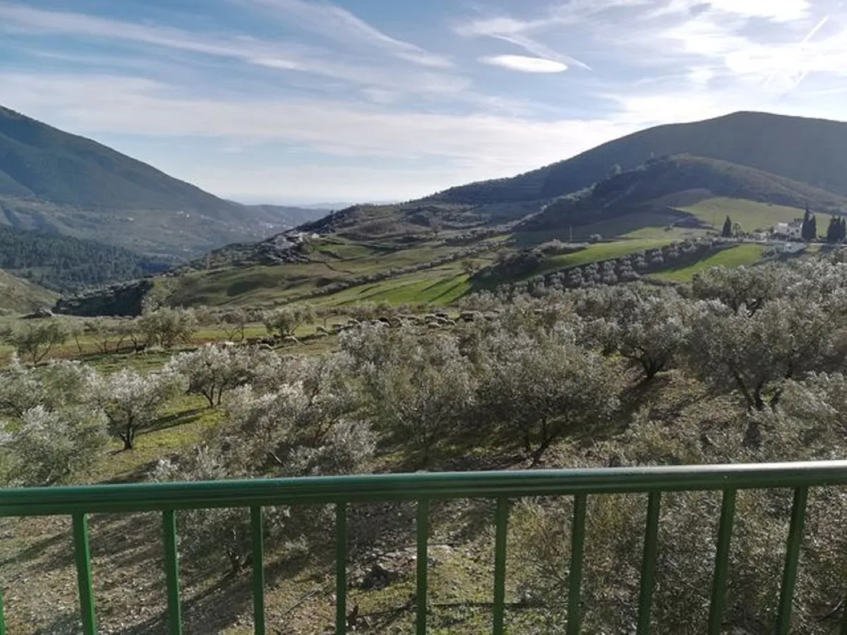 82cf460c-377f-44f1-9a20-b1b213ada618