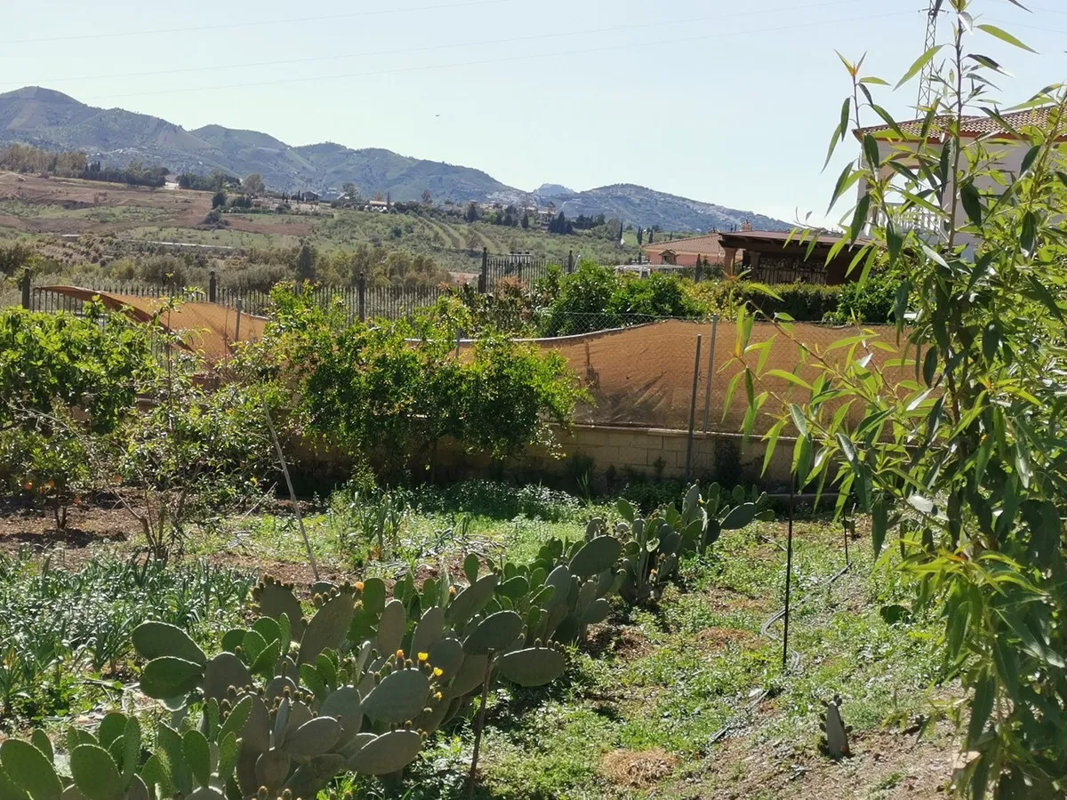 3c77323d-c077-40f9-bd8e-f7061f30c154