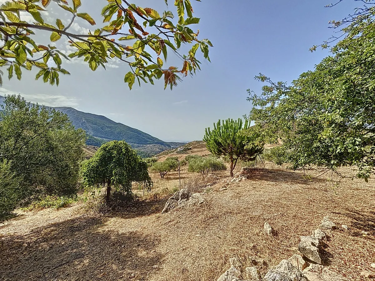 275bb586-a49e-40c4-a7f2-e0c47f253d5c