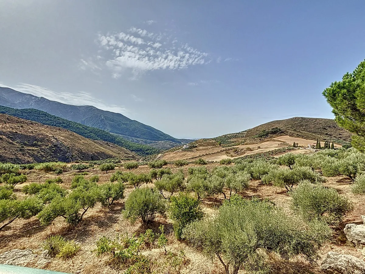 85d2a21c-f965-46dd-8c34-d0443fdb4b89