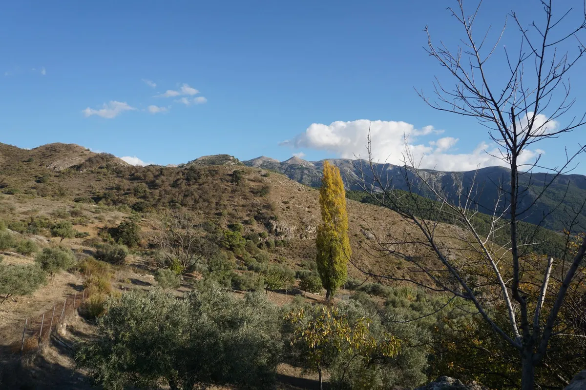 872d3e16-b33a-4484-951f-249653aa2fbd