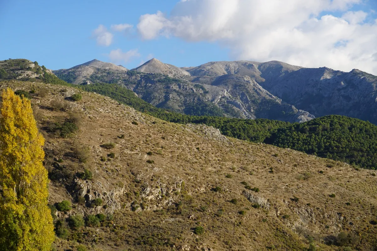 bbbaab5c-542f-4e25-a17a-a72b4e185f93