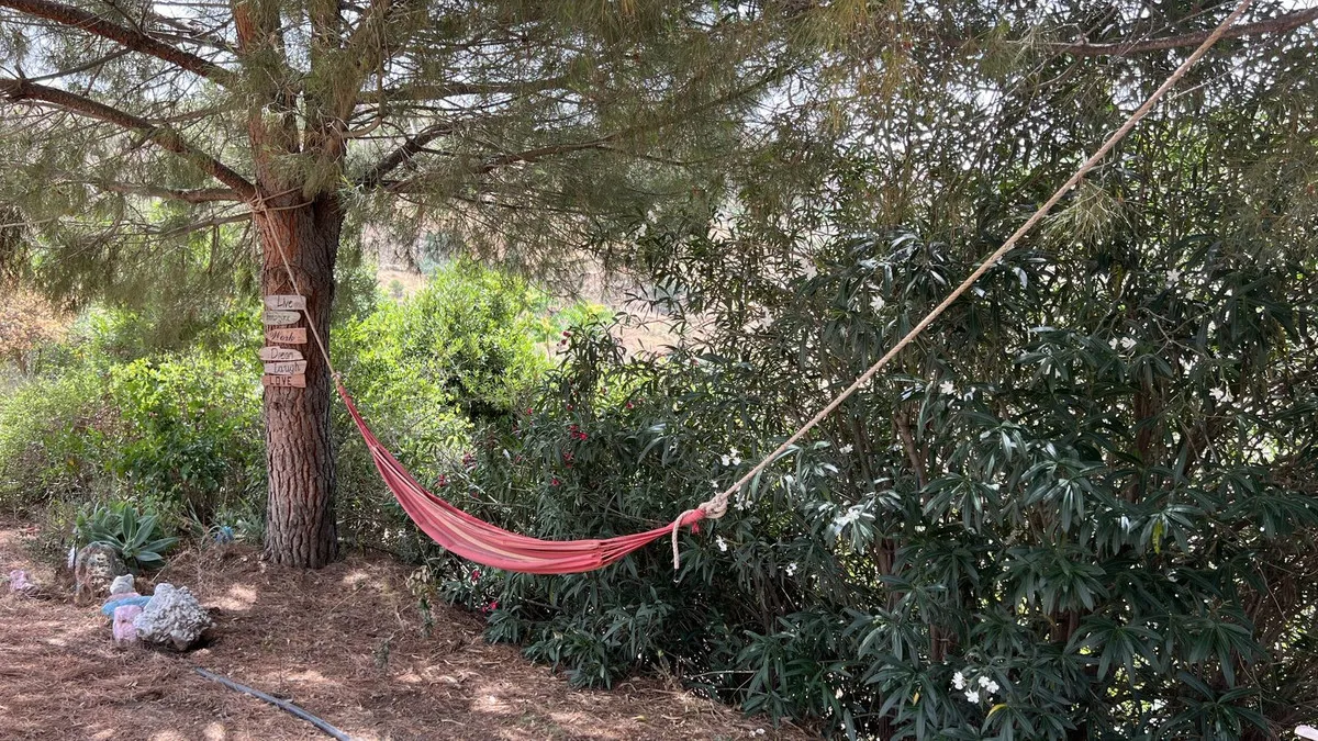 0b8a90ea-4bd2-4ca1-9cbf-4ec66a5e3c58