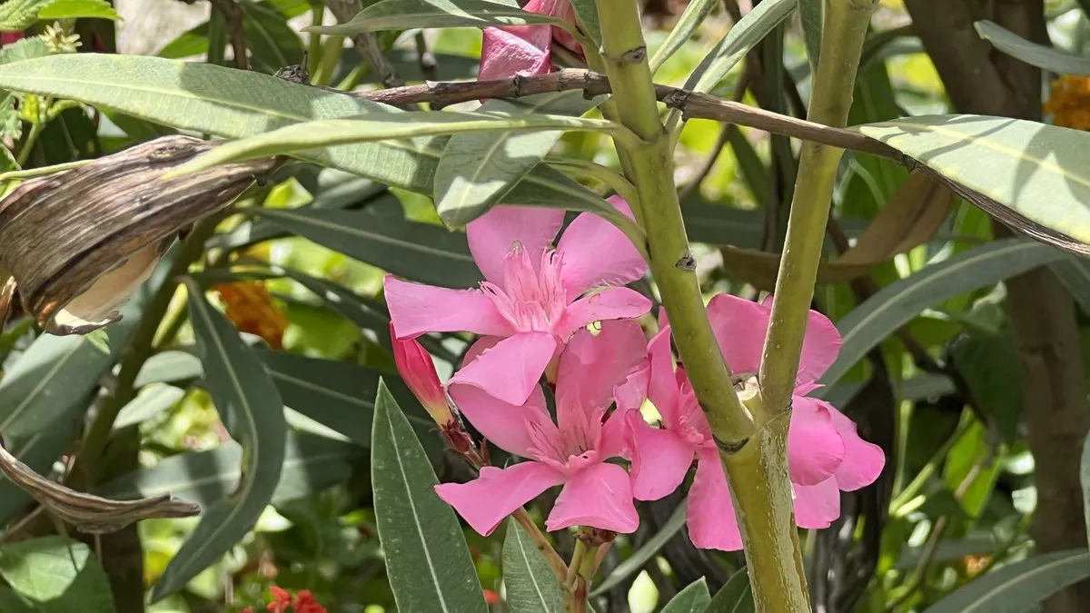 743bc30b-e39b-4e0a-9cdb-7df0f95bd053