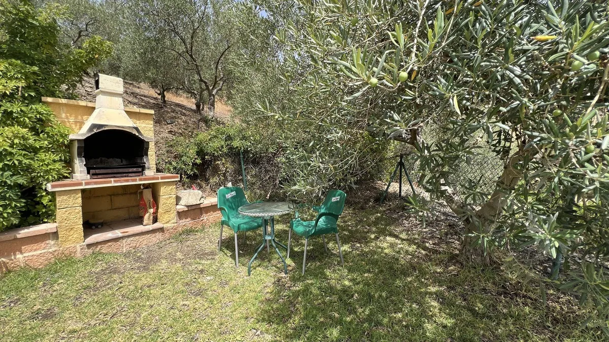 b2b37146-6b3e-4545-b6c2-e9d61699127d