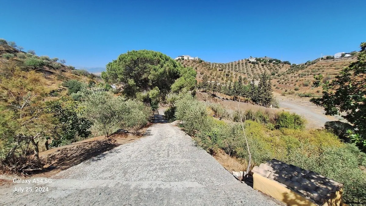 784b9c2a-95eb-4943-a3c3-1c124a521c39