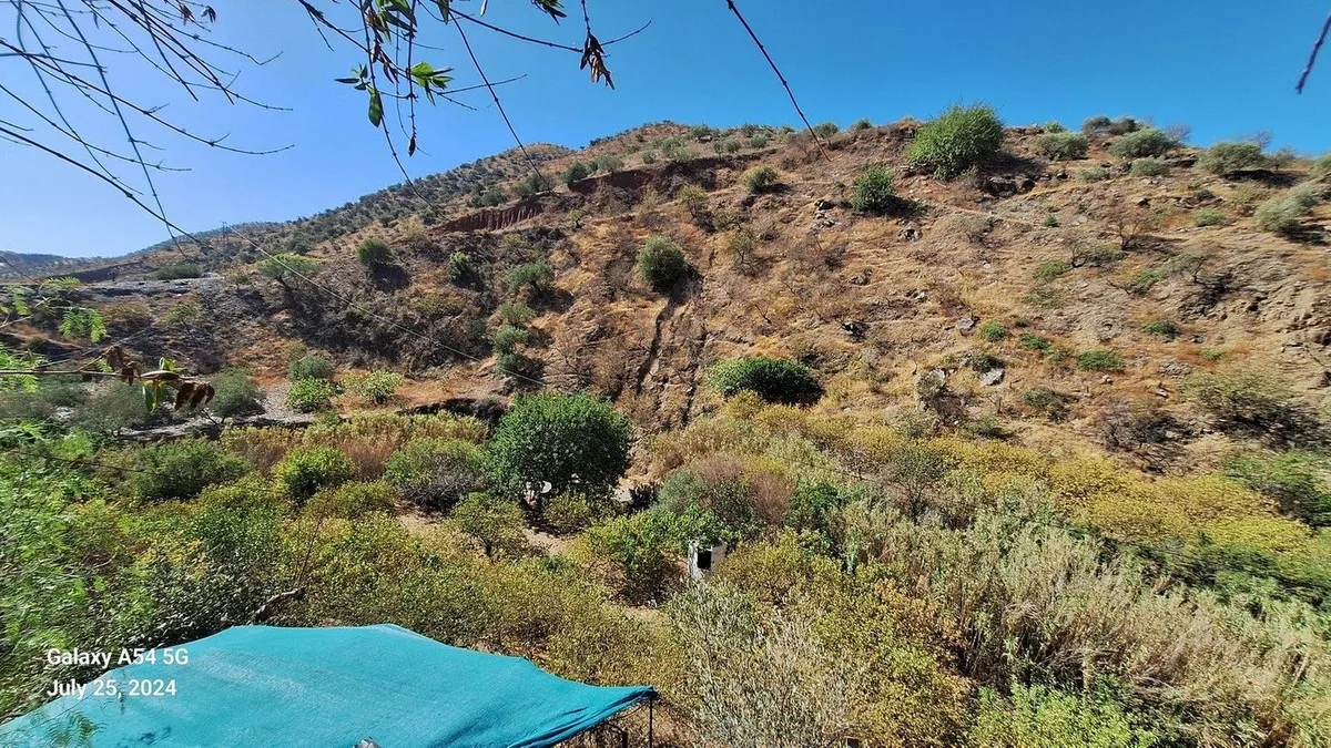 921e5415-ad08-4945-8f4c-707529fa504a