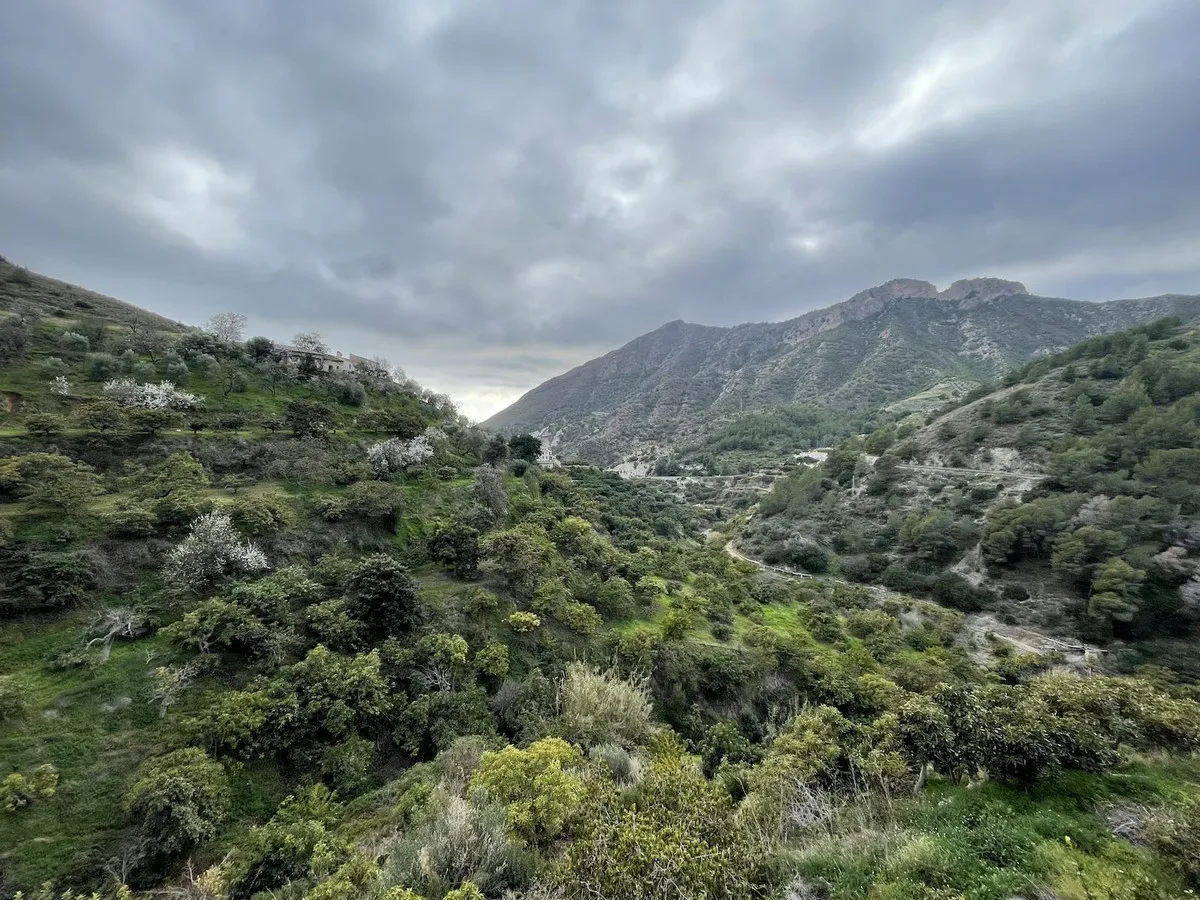 1e04a490-04c5-45e5-821b-3433a4fb7ce3