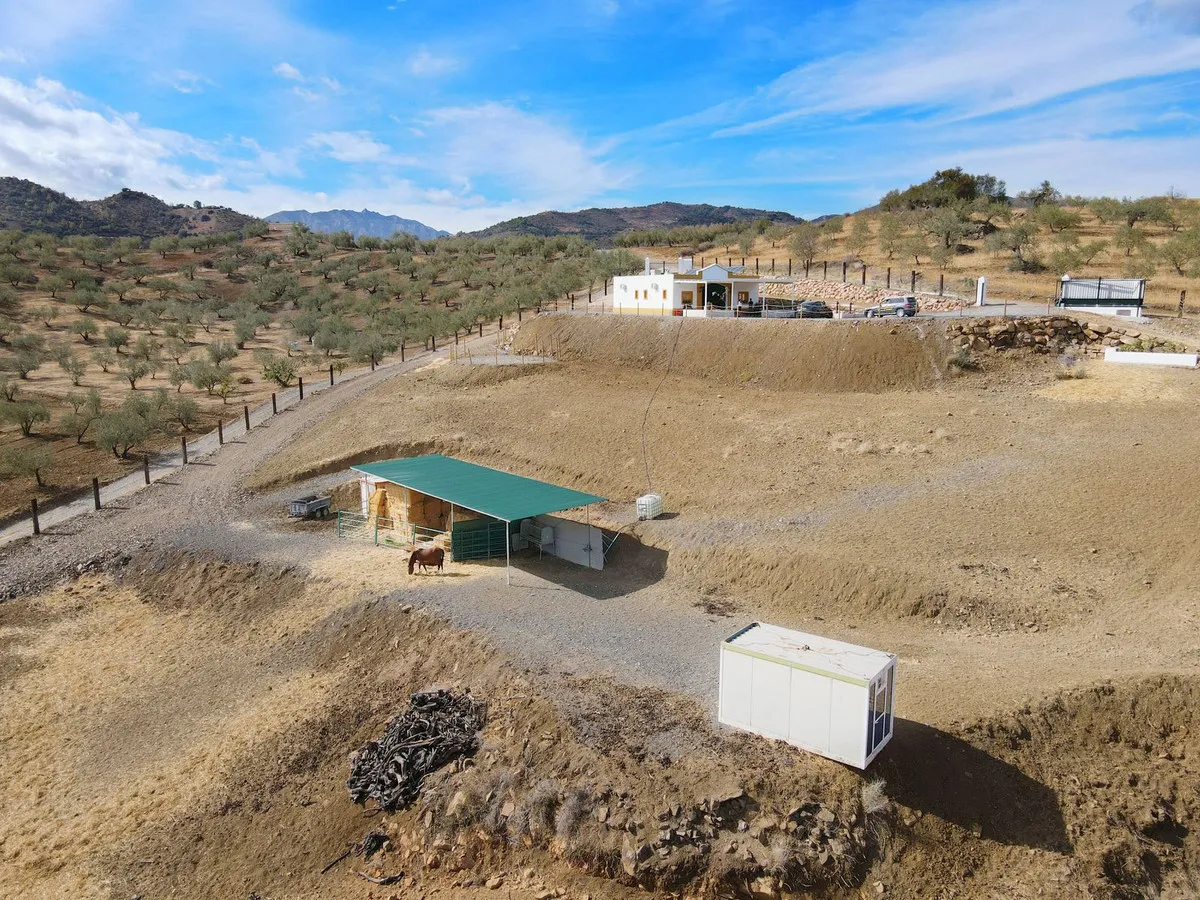 ed200aa7-d2fe-4c09-8e6b-30b198baed42