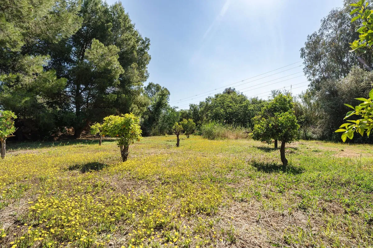 a5b34ce3-5786-4391-bc21-421966cee144