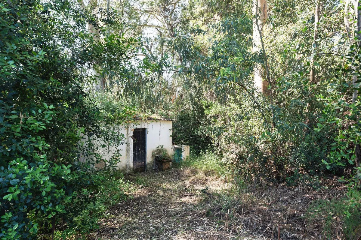 ca5e03ce-6cc9-4442-b0e7-1f6521978875