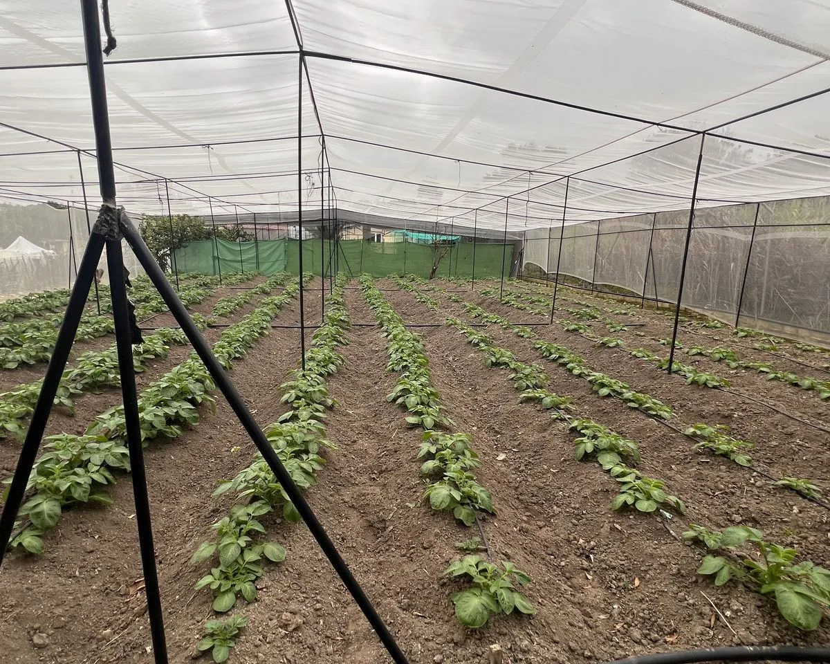 45219487-13f8-47d7-a5be-923ef2d074c1