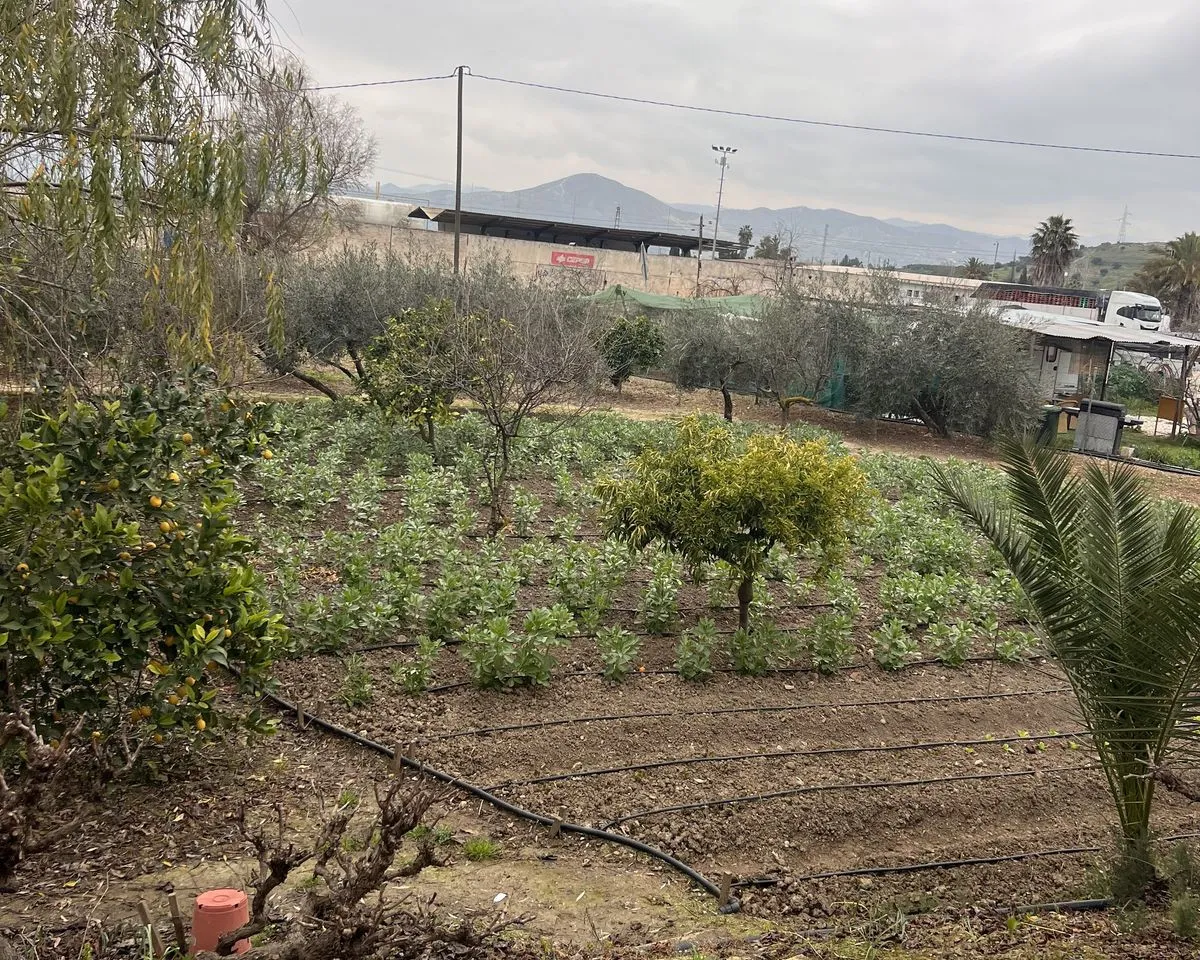 75a469ae-1af4-4ea6-9a74-860eced9cdbb