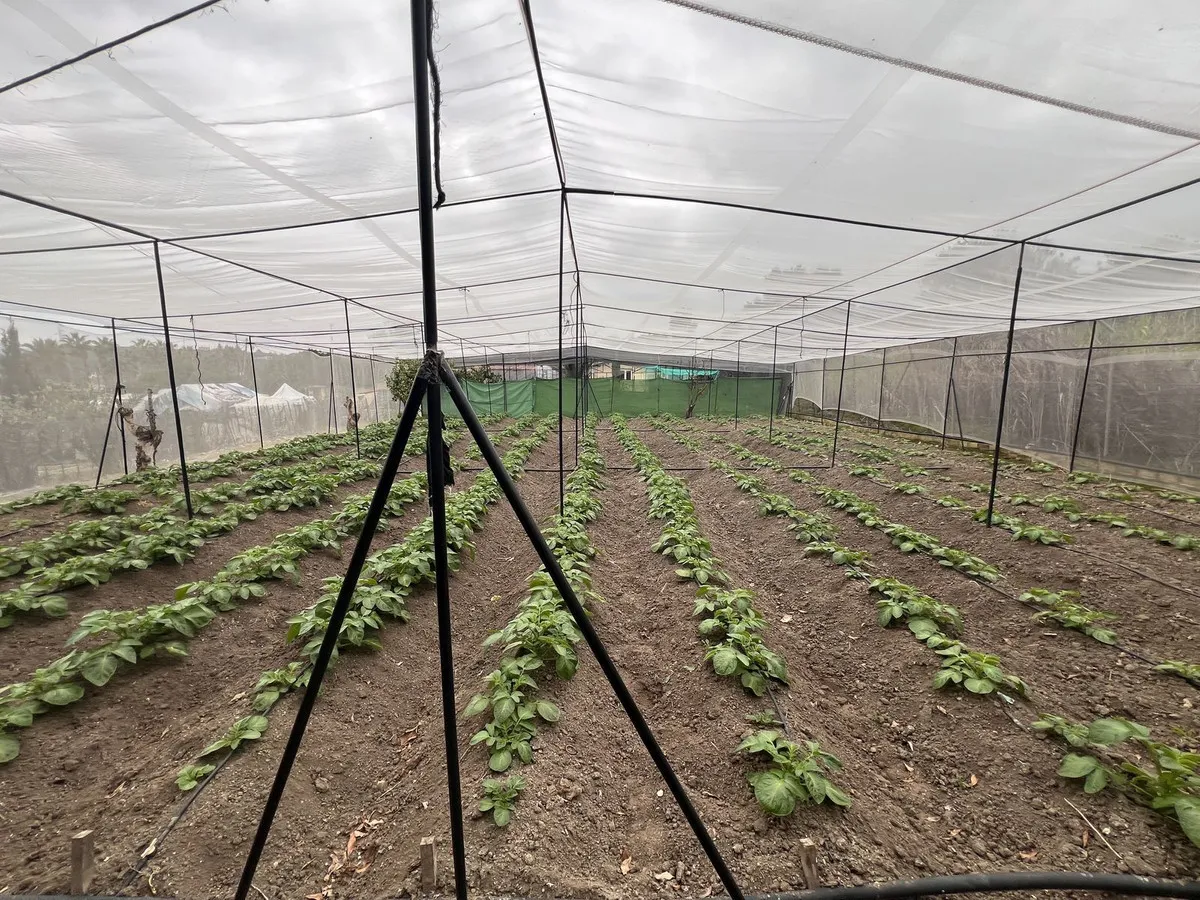 a3837e32-4ef2-4dbe-aae1-955fad7b7746