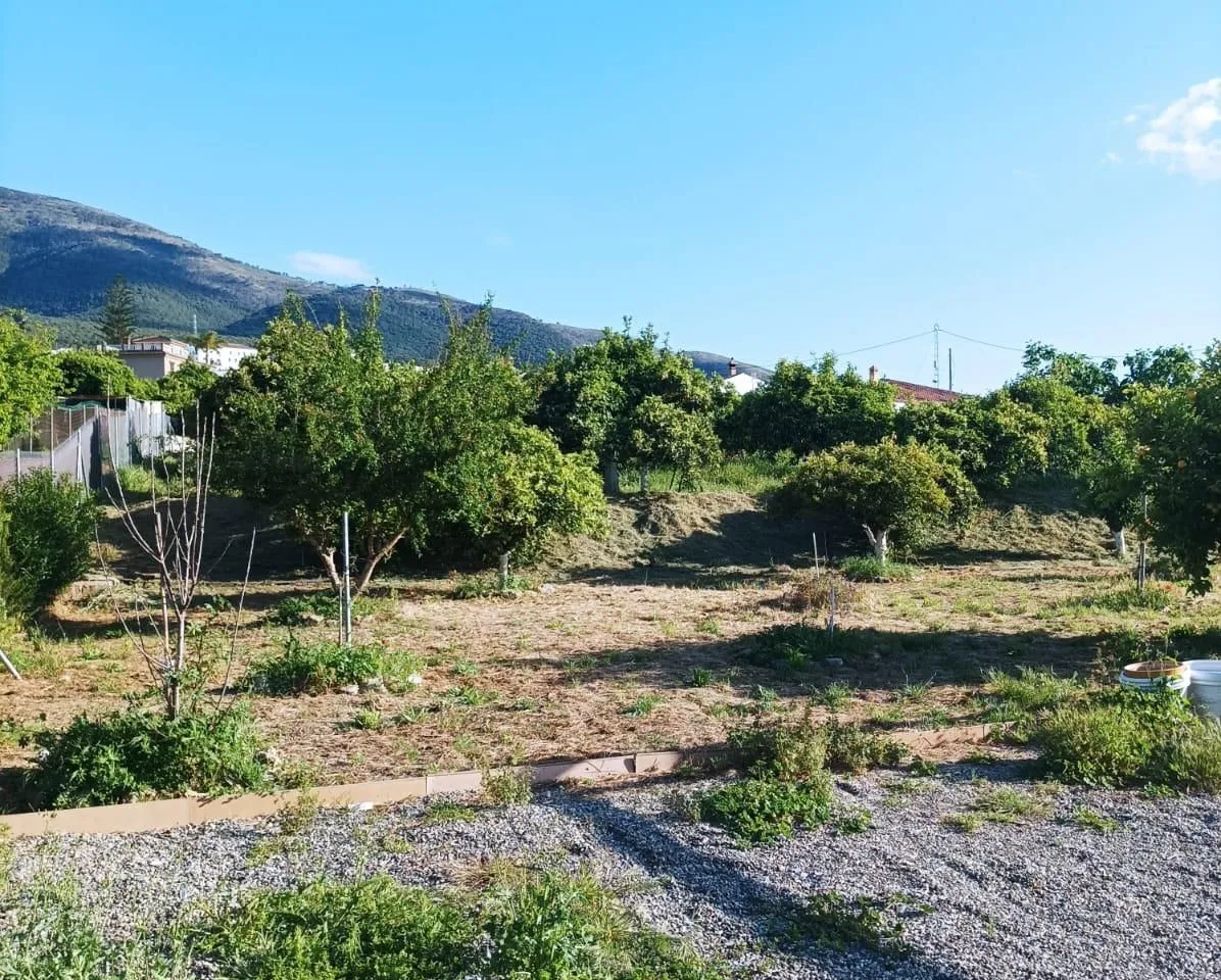 fe95cb0f-67f8-4b99-946d-330417f51ca0