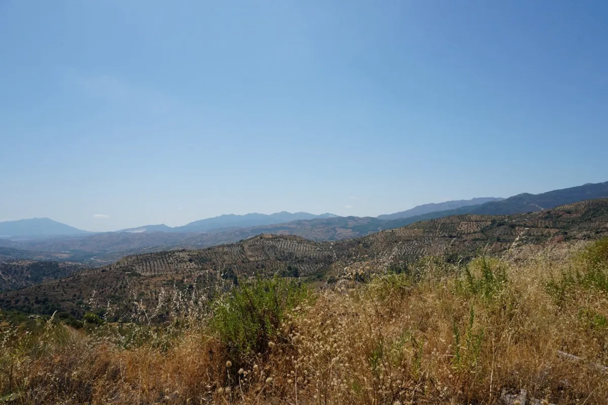 11bcbea2-4b4e-4203-aab6-1c9a12e12e8d