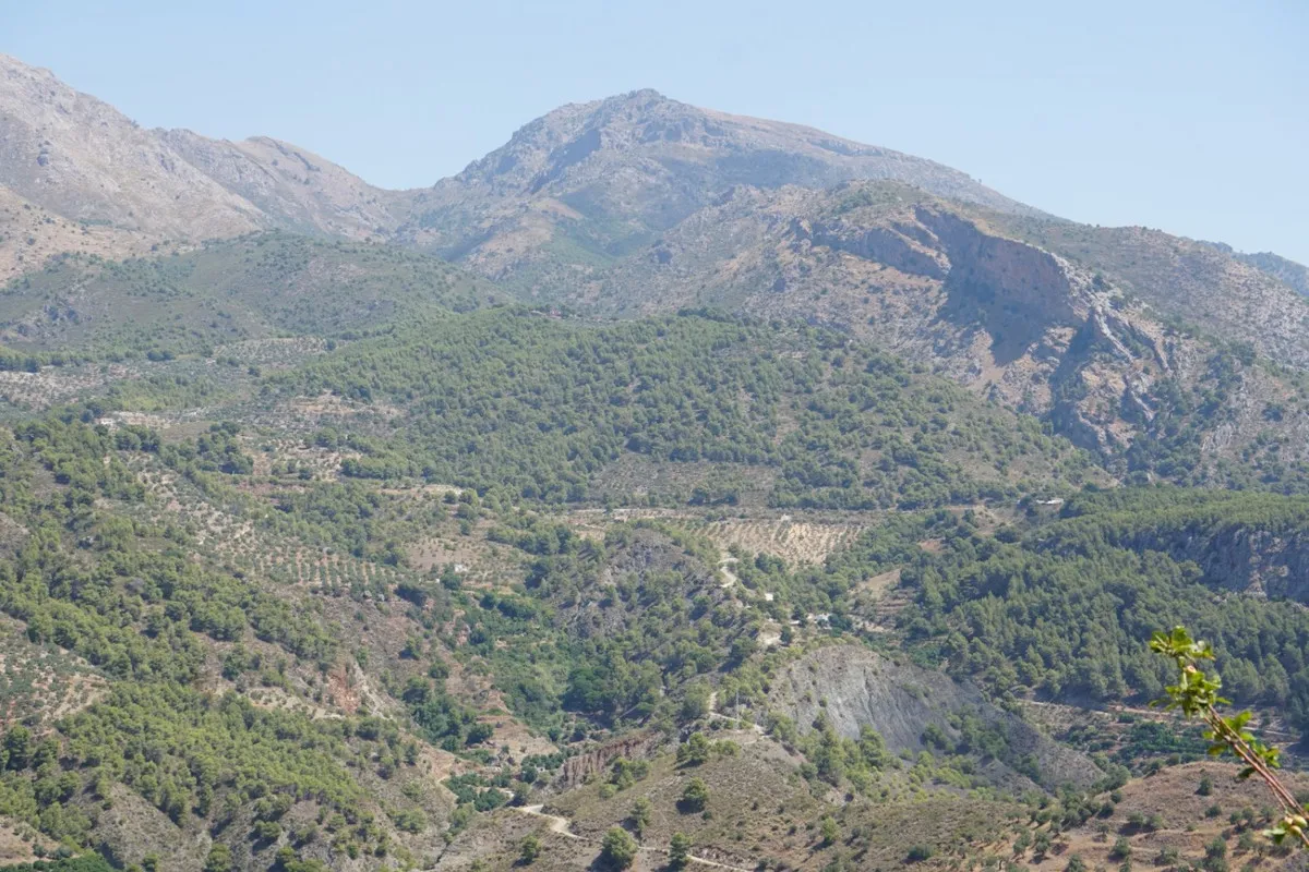 1a8cbf35-b455-4aa9-a889-25b866159427