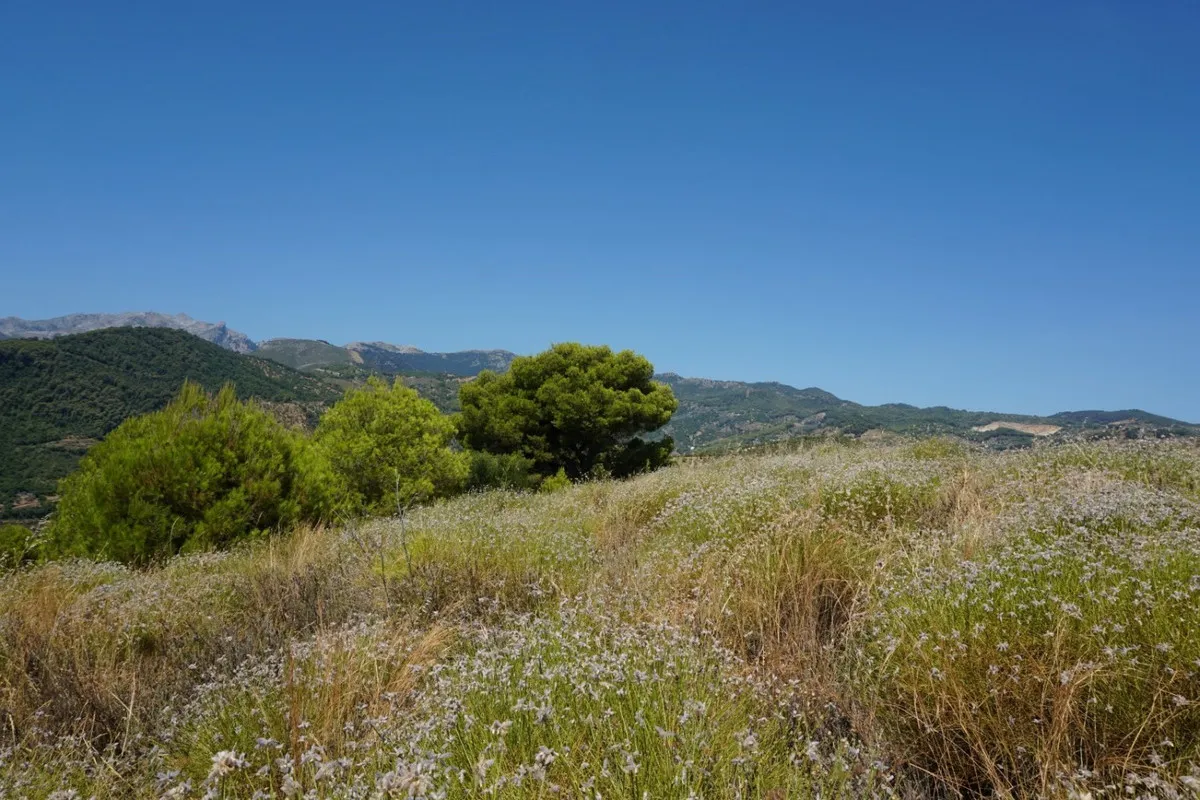 29da0d57-97ef-4d3d-be98-e917fdd8b44d