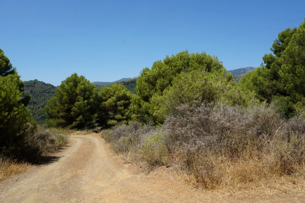 36c9c0e3-e633-4ce8-9b2c-98fbf49c8203