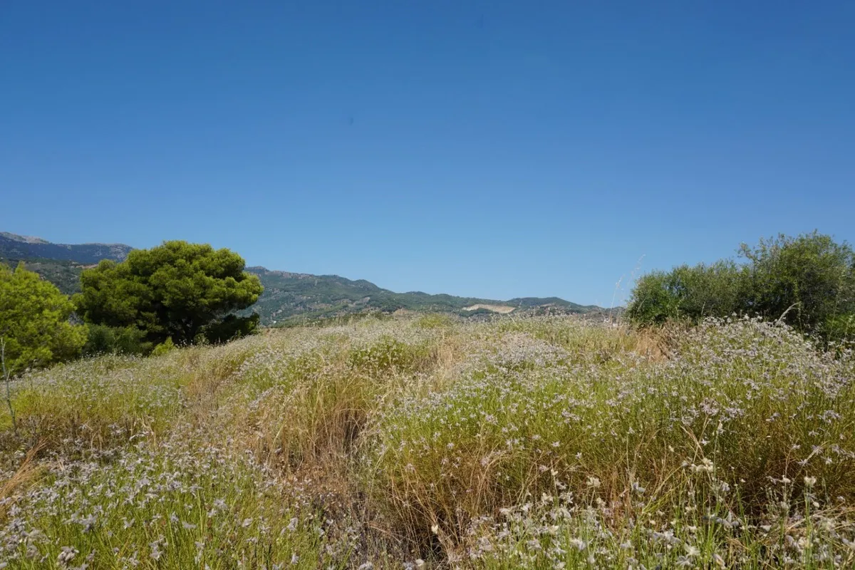 4bb6b881-a5b4-4369-adc1-c7fc5090dc03