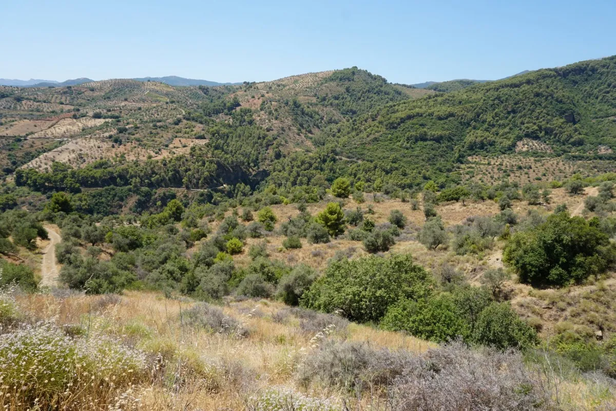 4e7e8ae3-1f8f-42d7-840e-3787301ef2b4