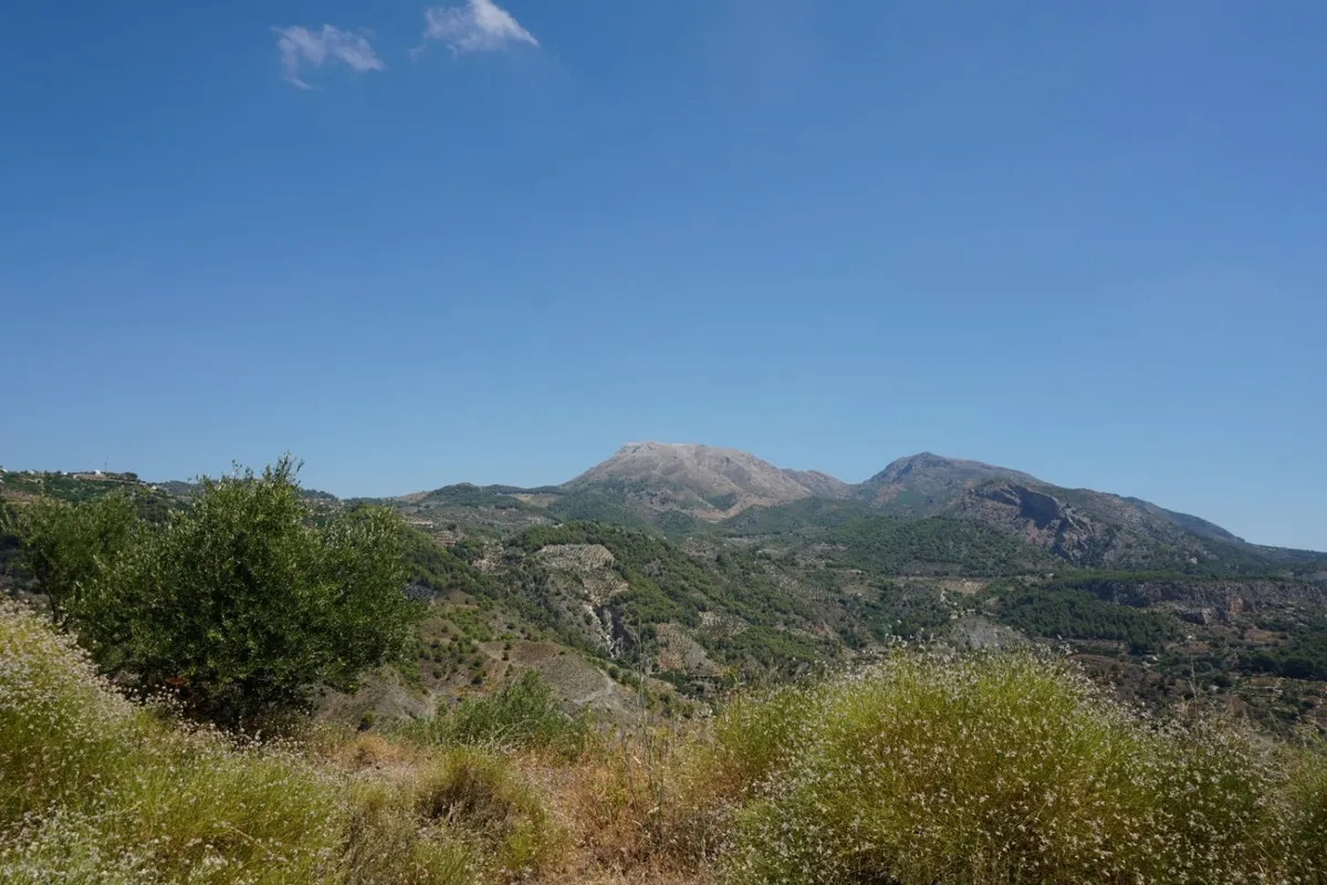 5ea9874c-e24c-4162-8e6b-5dc9142c2b5b