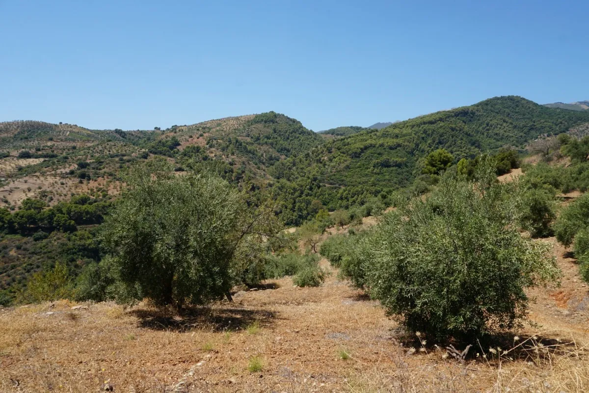 7d3addfc-b8c5-4384-a7a2-e5f4a0f16843