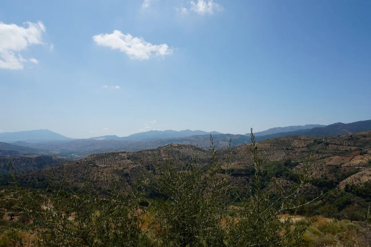 81dab07b-c7b7-47d2-8135-b6159c25a271