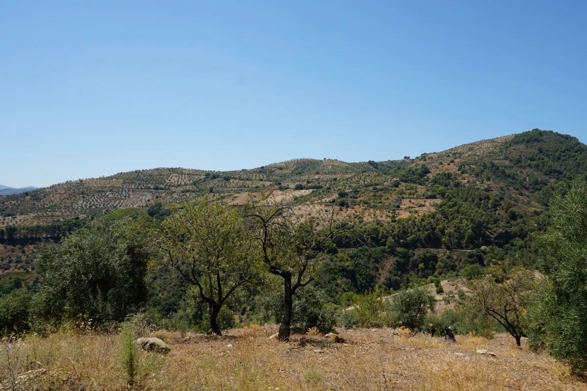 8467fa77-754a-46ab-8abb-584b10dc6648