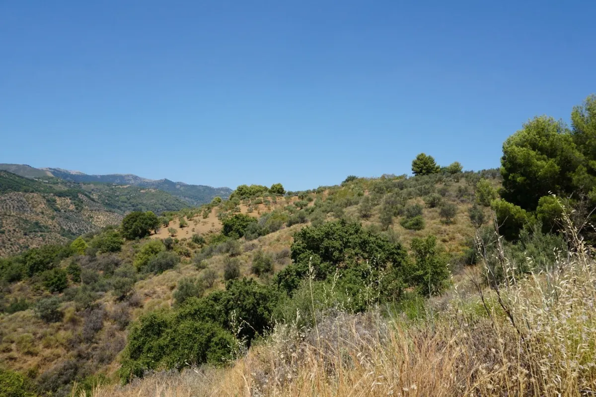 85913f21-7972-4381-a7ca-21ba50811a63