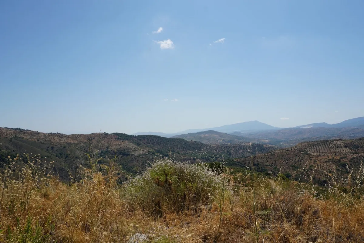 87033074-7e78-429d-8a14-f03d201e4dc8