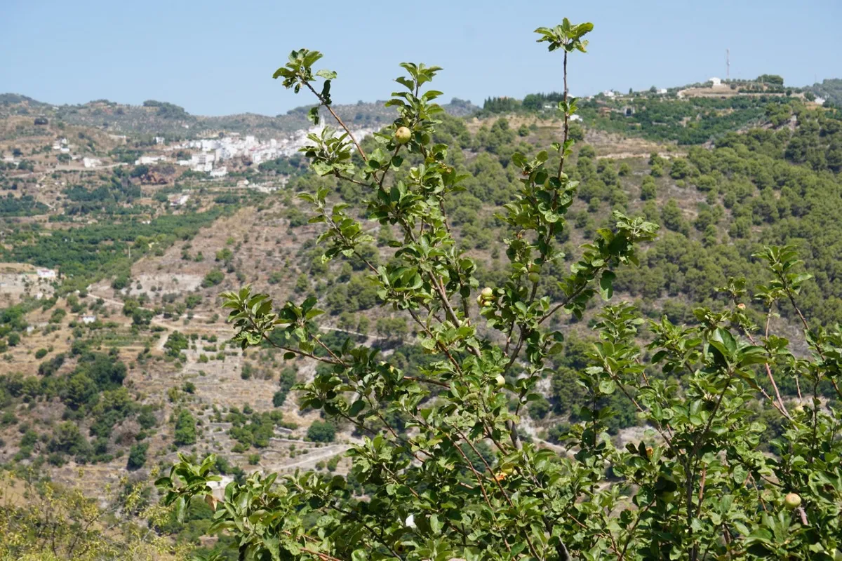 995a36aa-2f81-4f08-b488-5dd8d9a2ef33