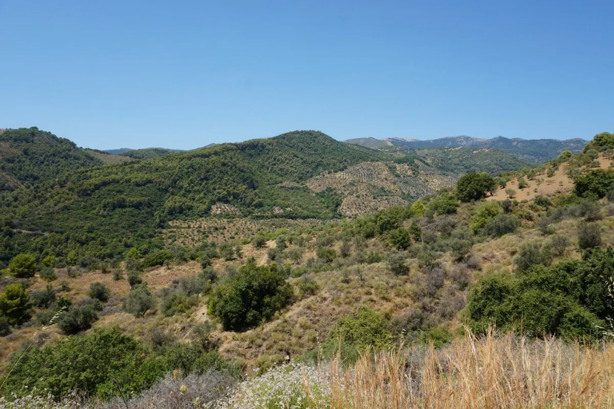 99afb4cd-3209-47c1-9aa8-b6b1eb224288