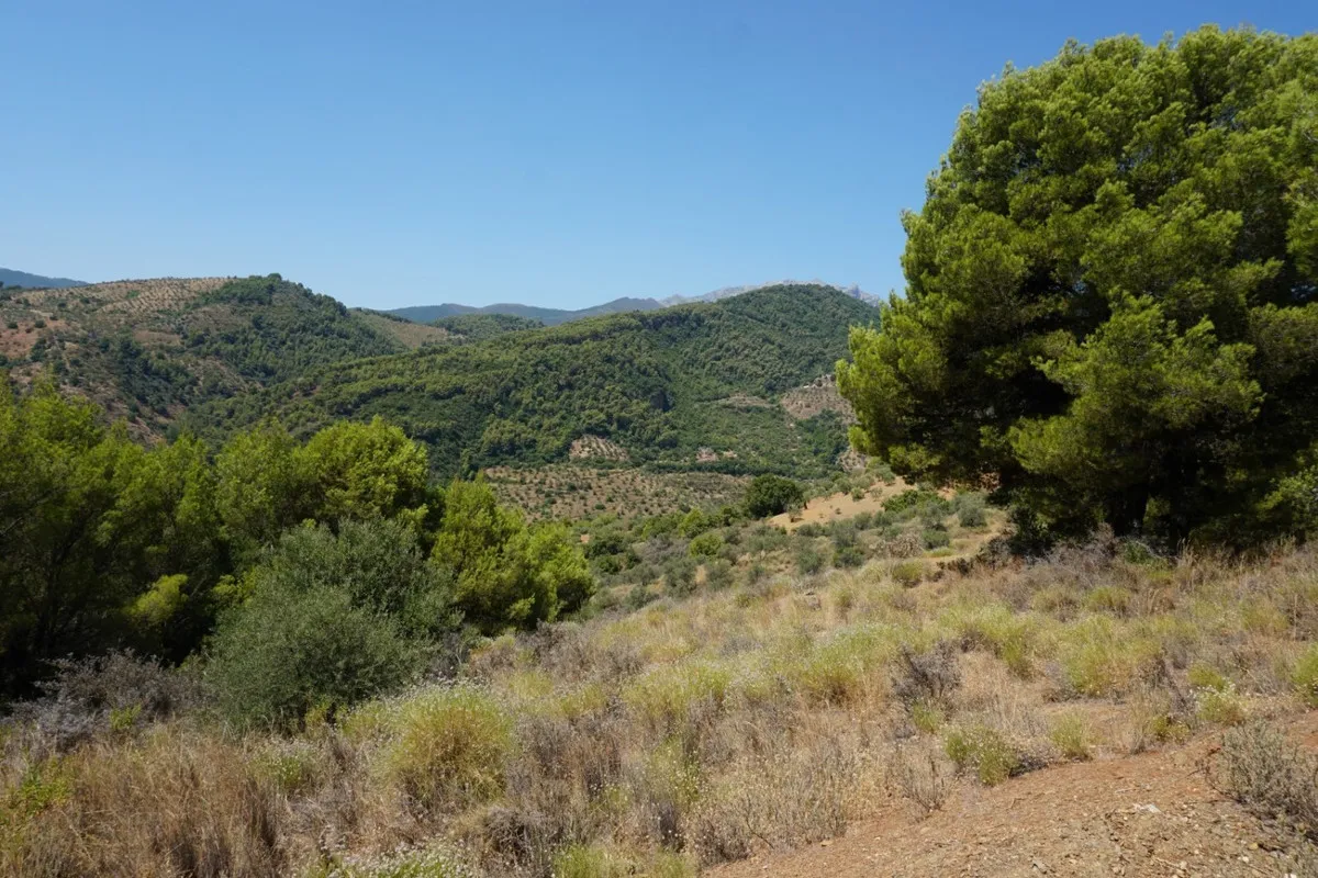 abaf9612-c23e-462d-a59e-b3d79e4adaad