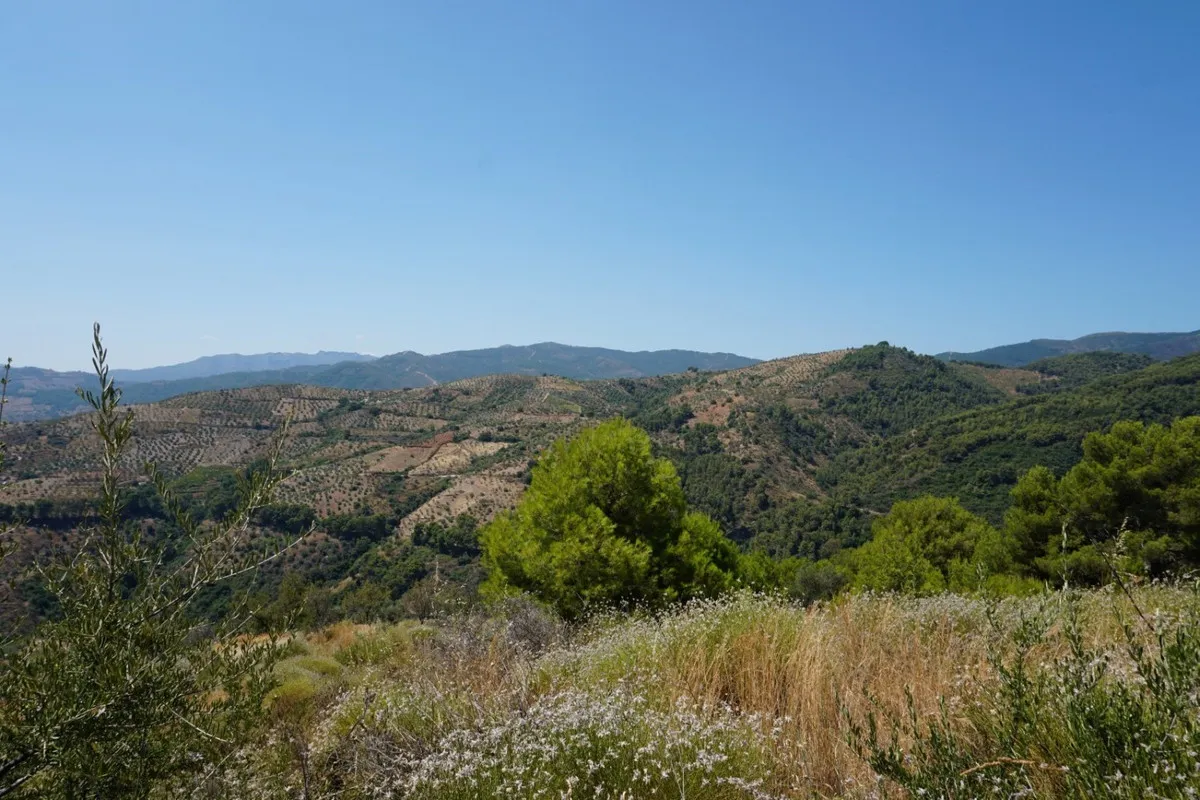 bd2b6dc7-19ff-45da-b9b1-1682ae65e324