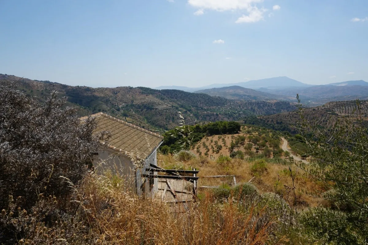 c2088007-6e42-4294-bda2-215d857dafd5