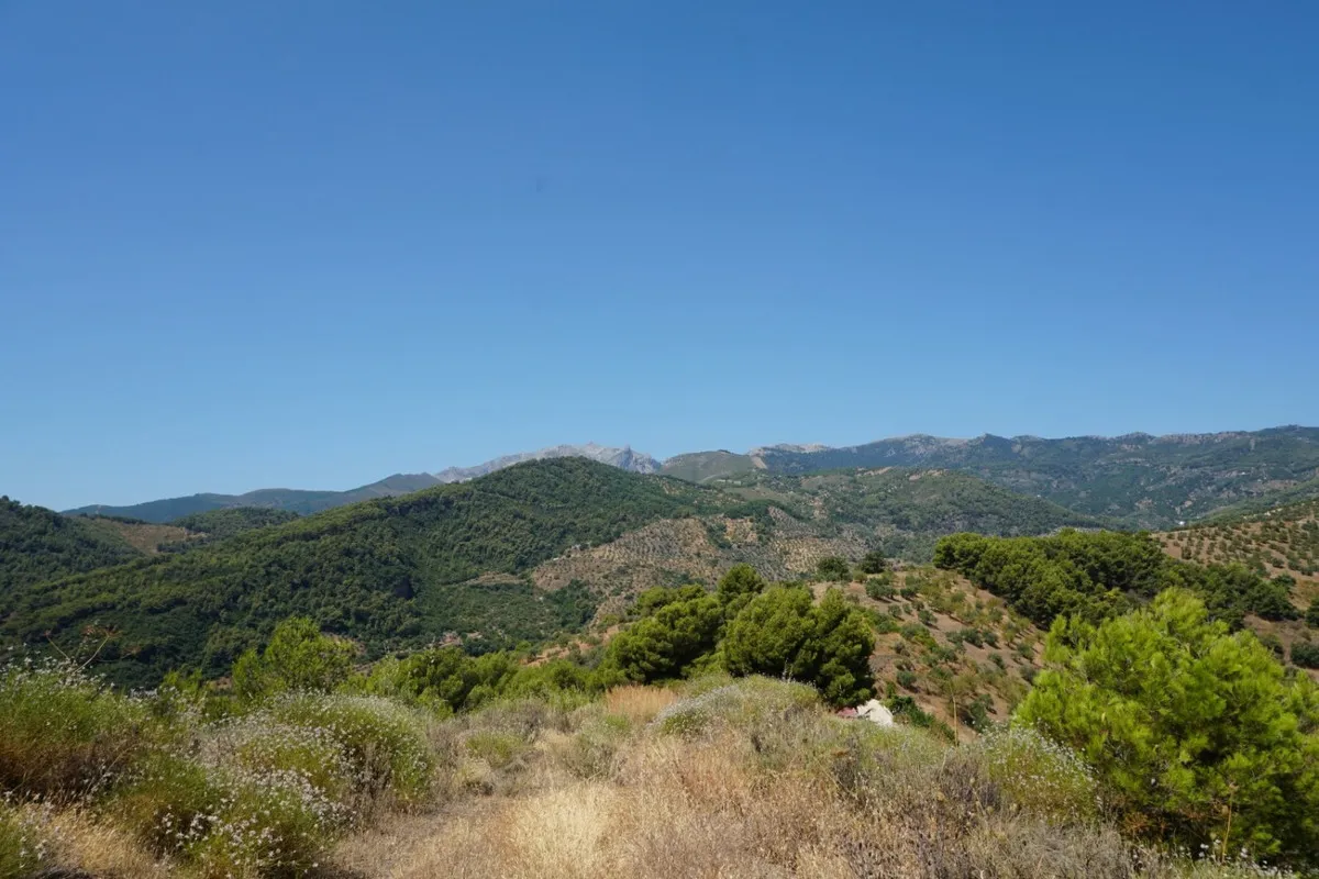 cd247a1b-9638-4810-8aed-76c9912e7fa8