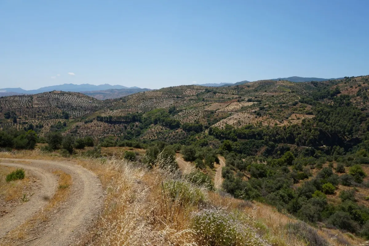 dd75442f-3d00-4068-9f5d-f770a6dc8412