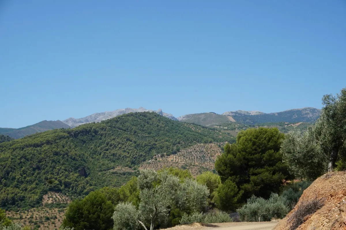 e379e71b-655e-4ac4-9dc0-9c1ff8542de6