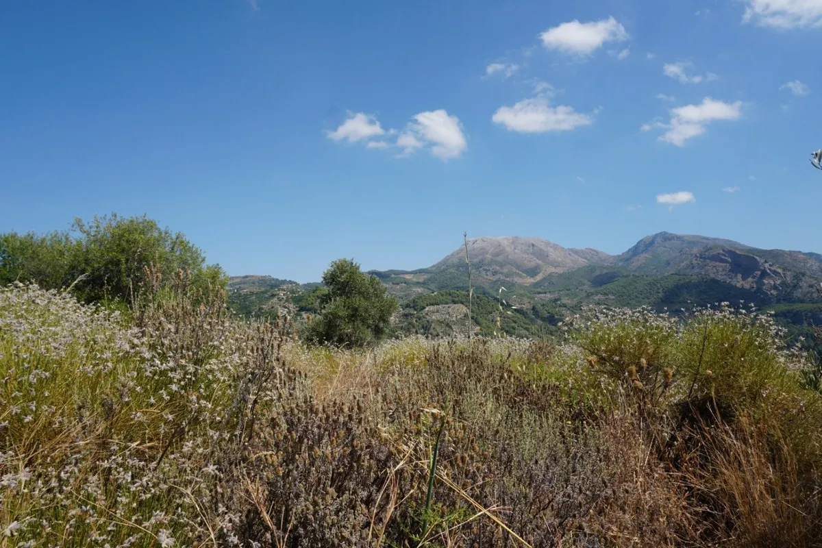 f3cfee92-f58d-4360-a75e-202552b480c9