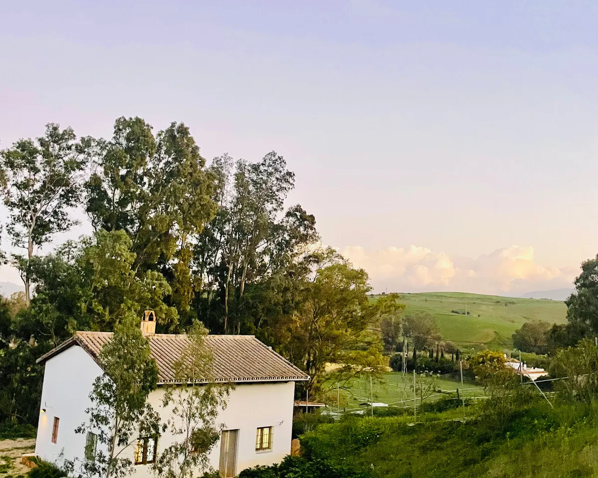 132b2b55-c3c9-485d-8251-27a1d0a8eba8