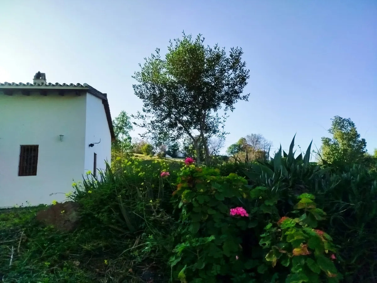 8bd693cc-0b0e-406e-be98-b2ffdd8e516c