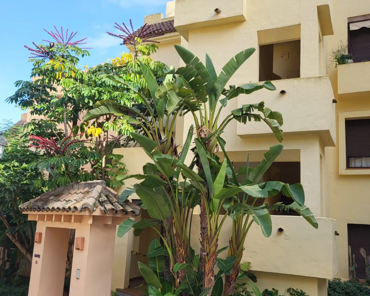 c9d88db5-f675-47b8-b338-ddc899761bea