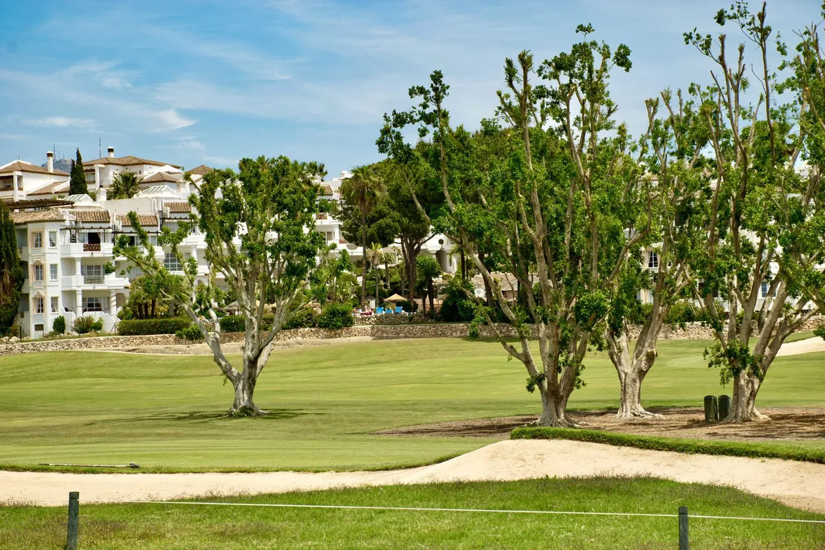 8e154108-d127-426a-8038-ec7b068b0ead