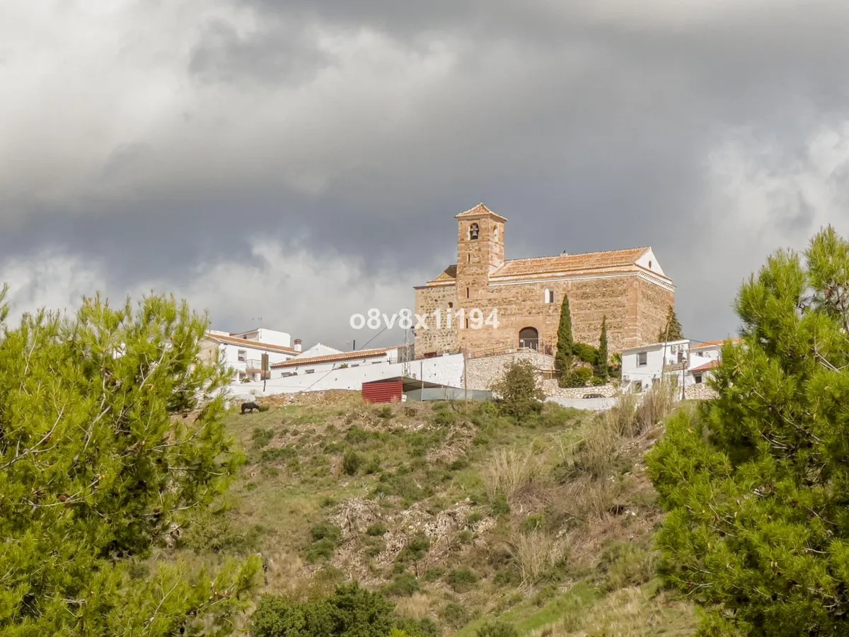 bd586b78-3cff-4eb7-a67a-00c8ca702ed2