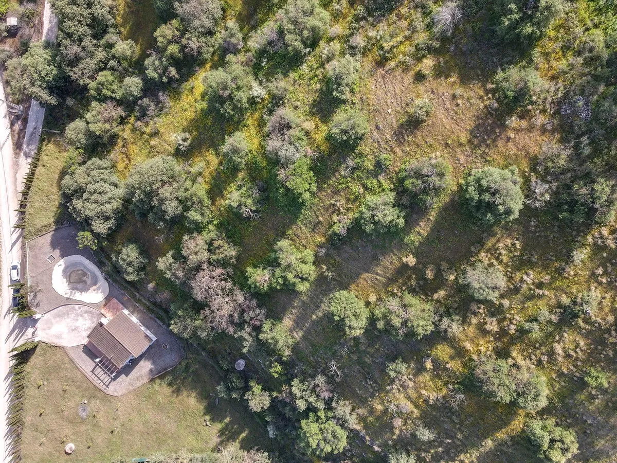 4853b580-8802-4158-8835-41687fc6eedb