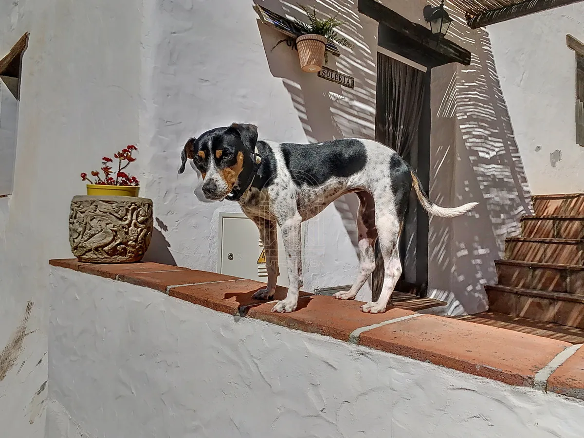 70e250c6-0389-4074-b733-9b56f8fc7149