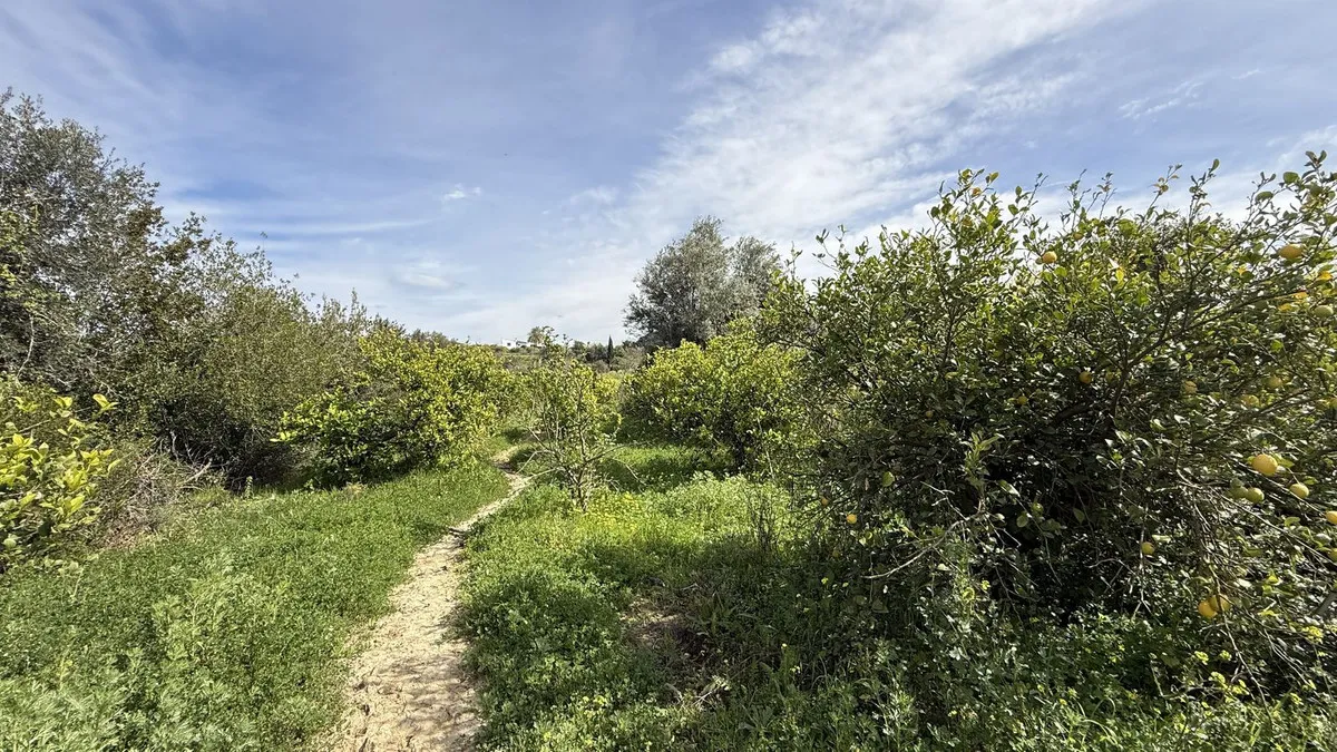 1bcfa7c8-ef1f-4457-871e-3bc3bba8838a